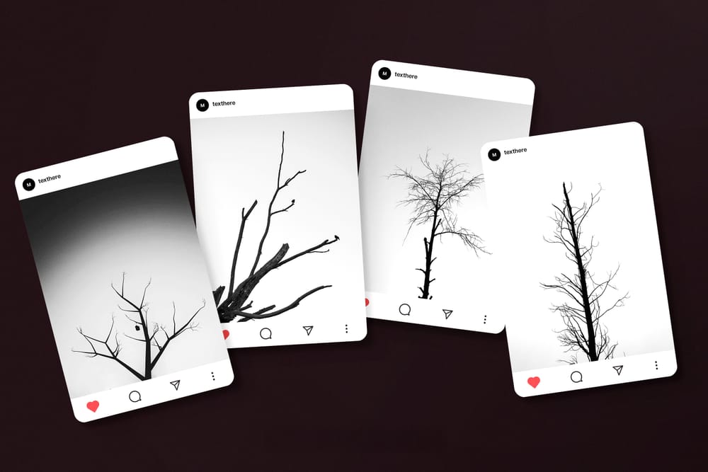 Instagram Feed Mockup